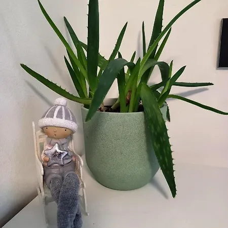 Prázdninový dům Gemini Vendeghaz *